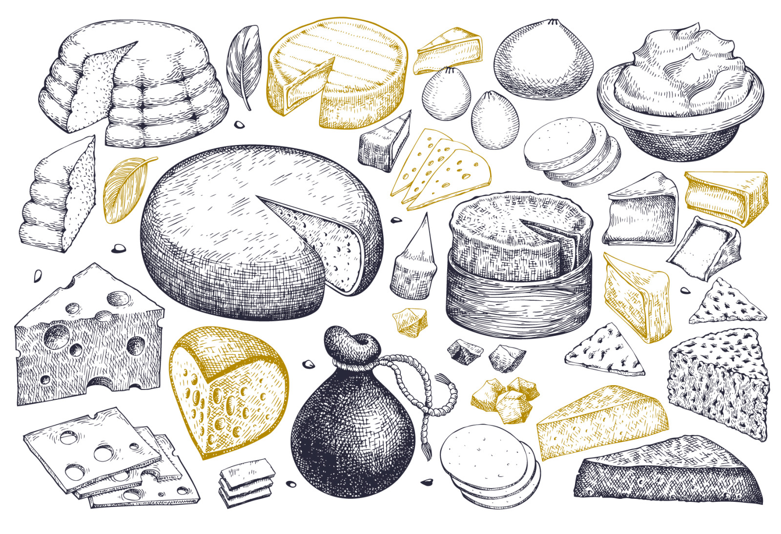 Cheeses Vector Collection