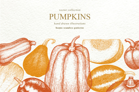 Pumpkin Vector Collection - Farm food