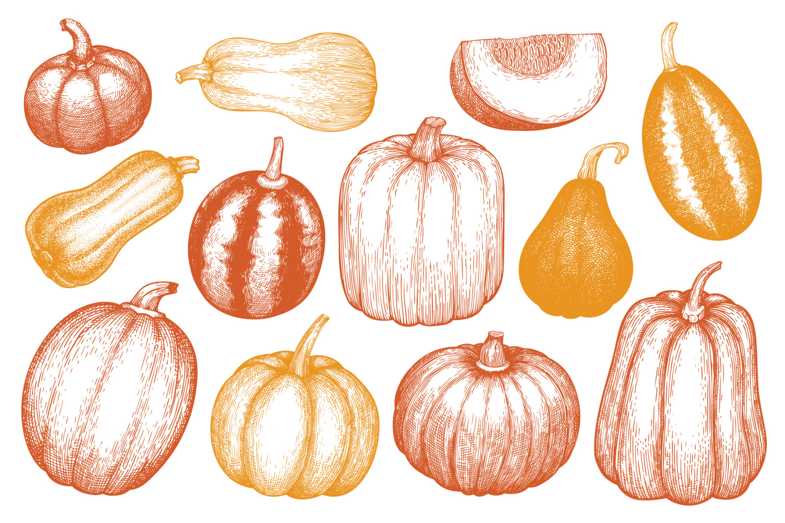 Pumpkin Vector Collection Pumpkin Vector Collection
