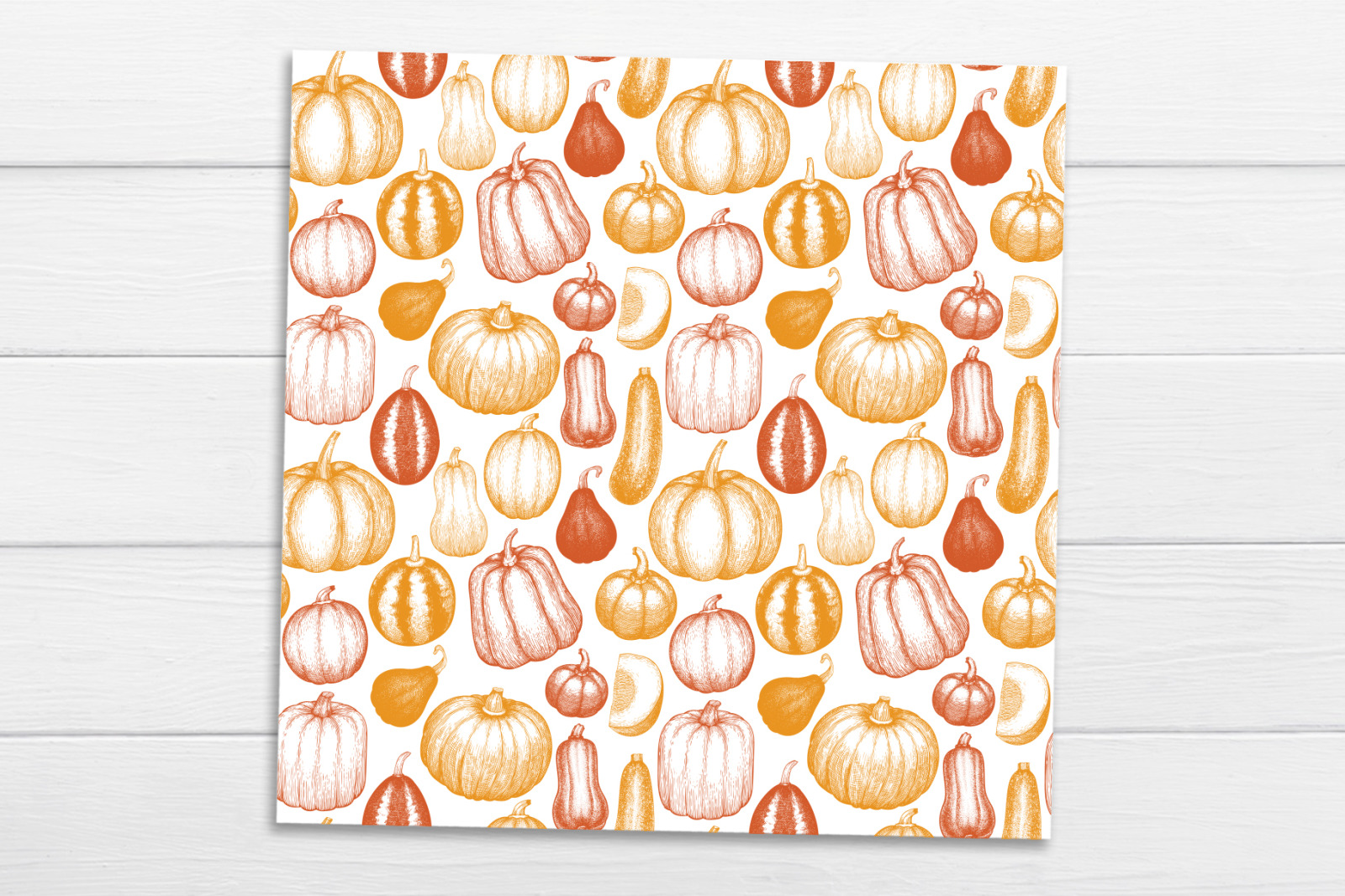 Pumpkin Vector Collection Pumpkin Vector Collection