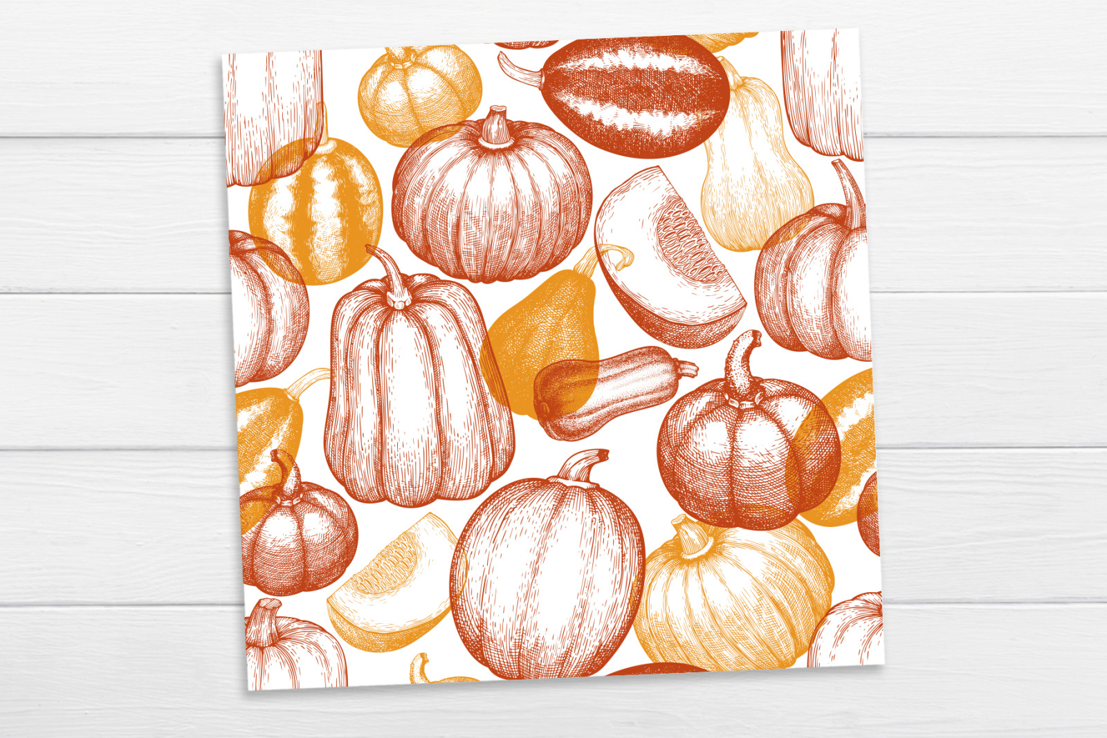 Pumpkin Vector Collection