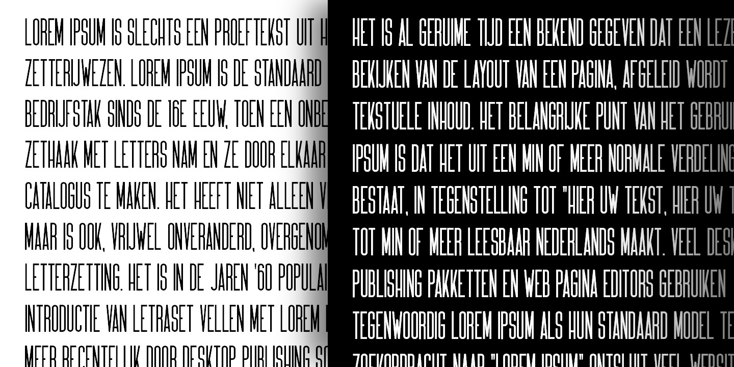 Freya Font Family Freya Font Family