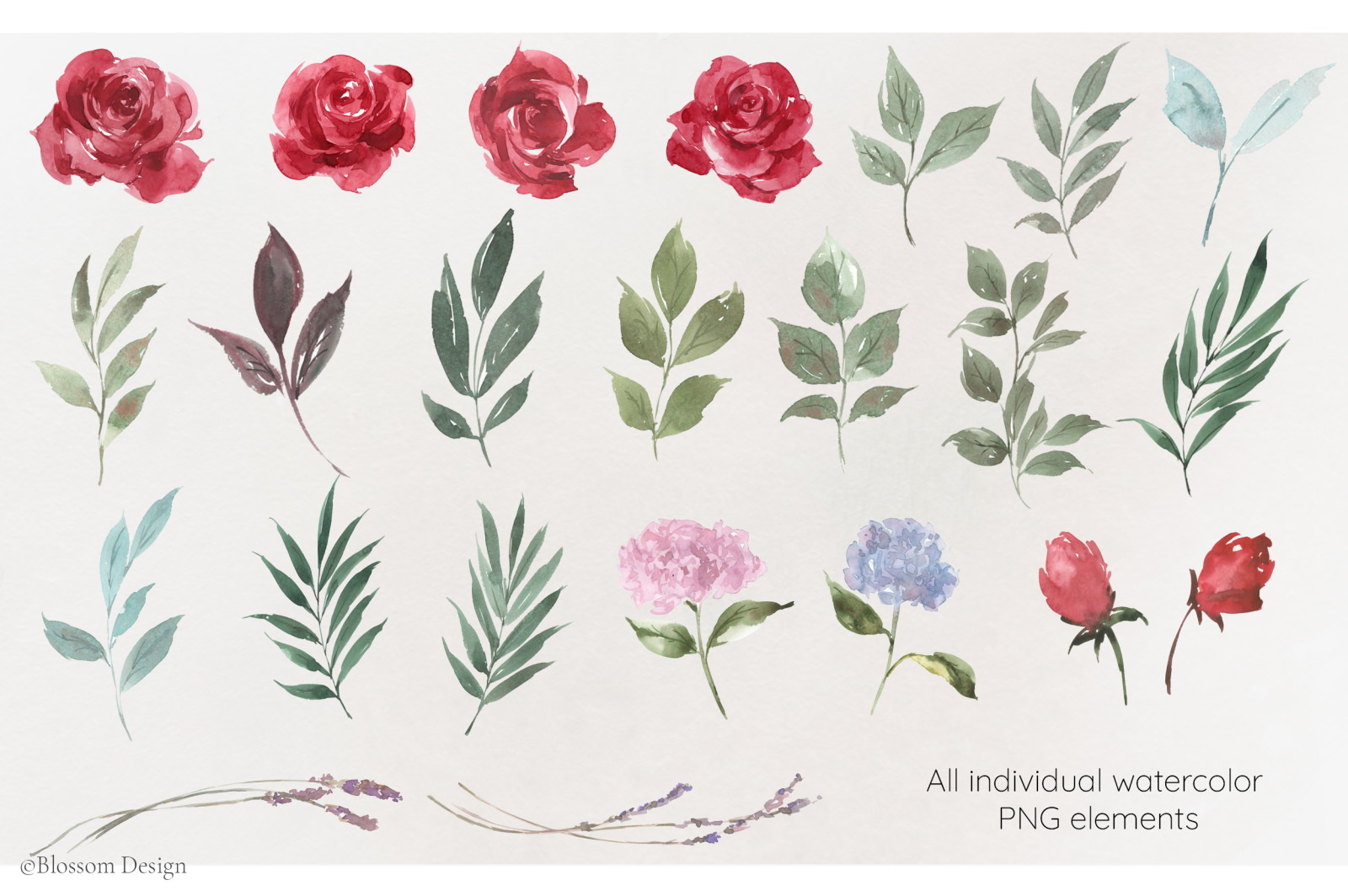Roses and leaves. Watercolor set. Roses and leaves. Watercolor set.