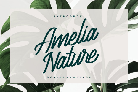 Amelia Nature Font - Letering