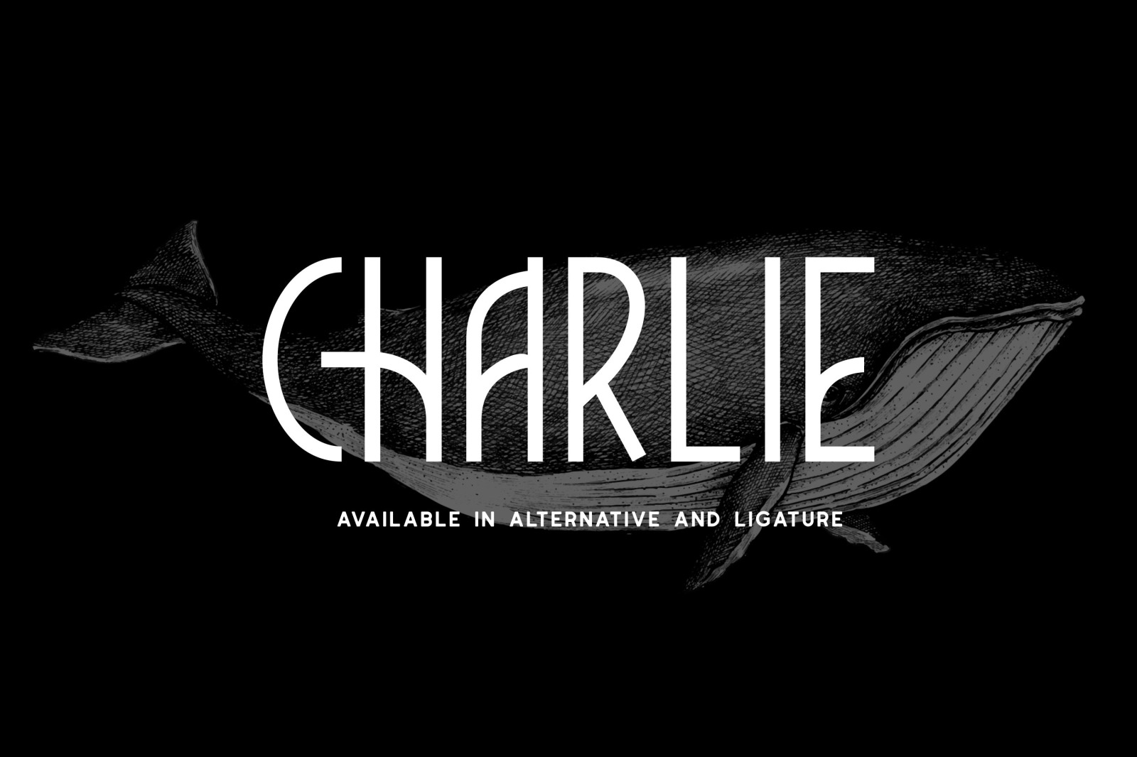Charlie Font Charlie Font