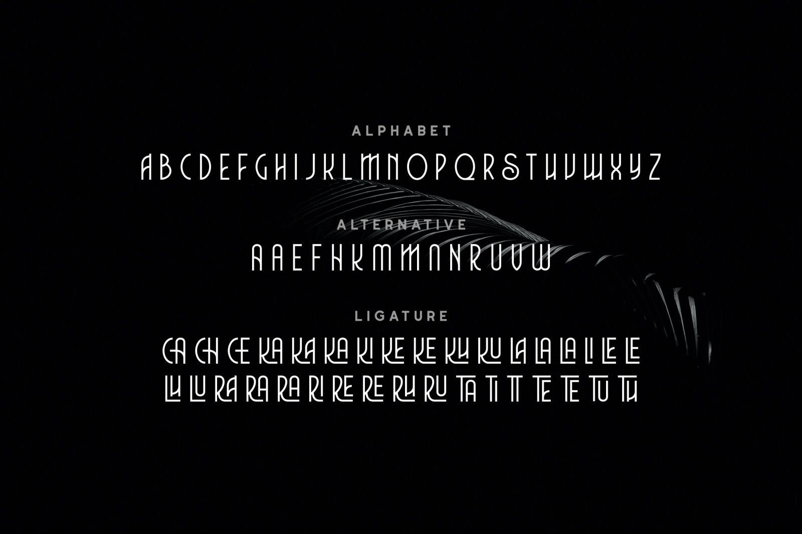 Charlie Font Charlie Font
