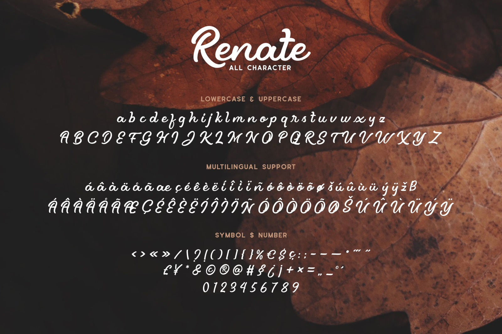 Renate Font