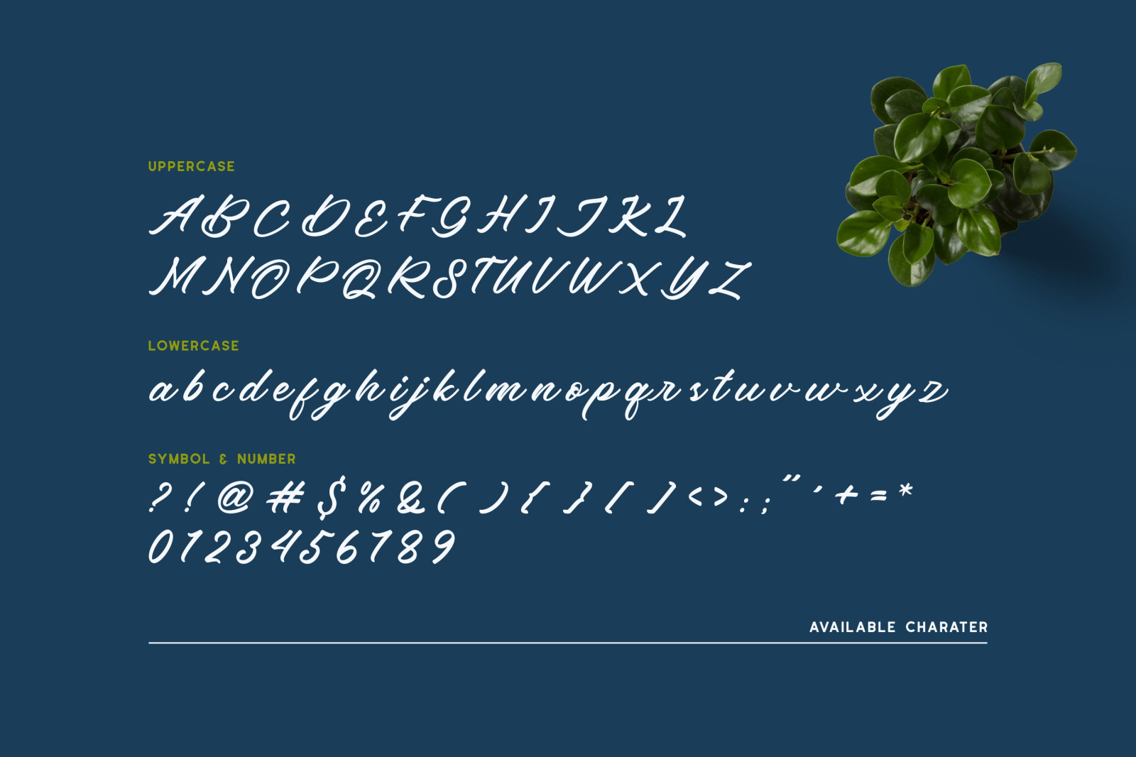 Beardcanye Font