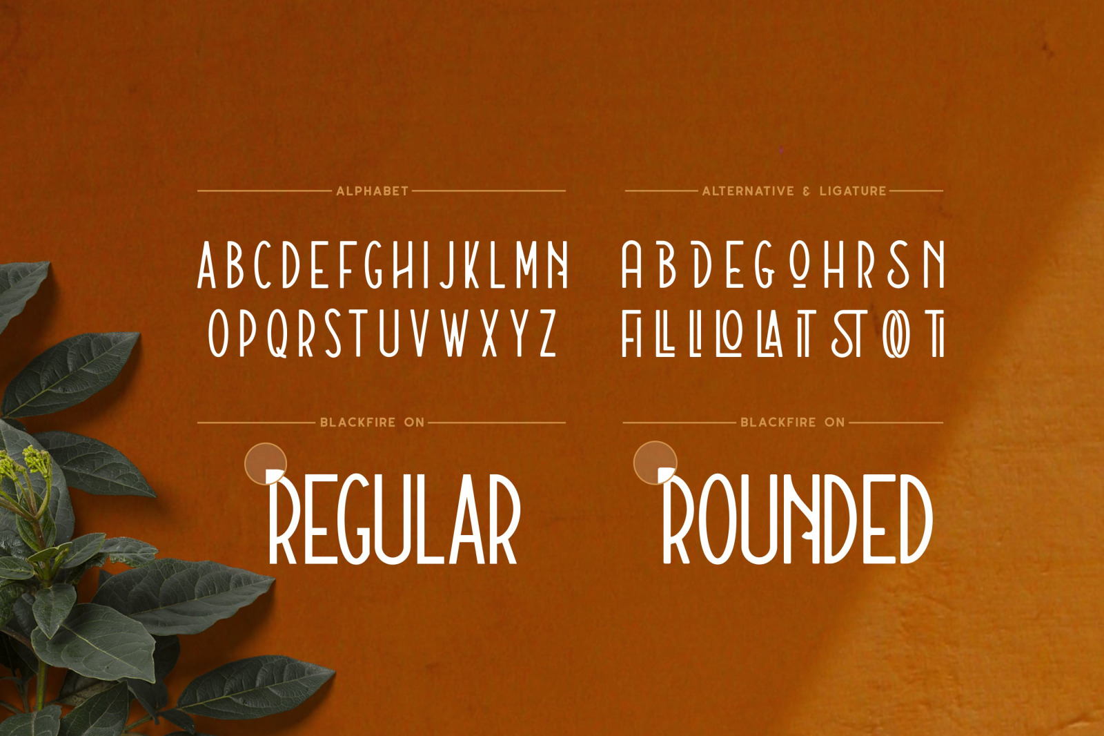 Blackfire Font Blackfire Font