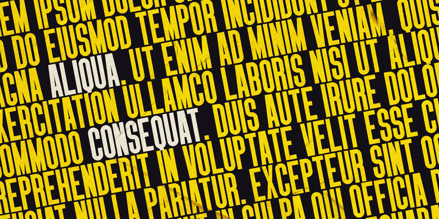 Nata Font Nata Font