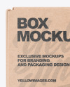 Kraft Box Mockup