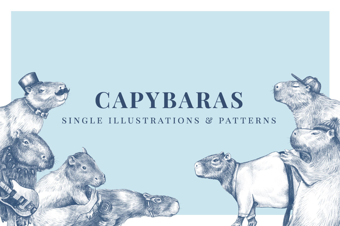 Capybaras - Illustrations & Patterns Capybaras - Illustrations & Patterns