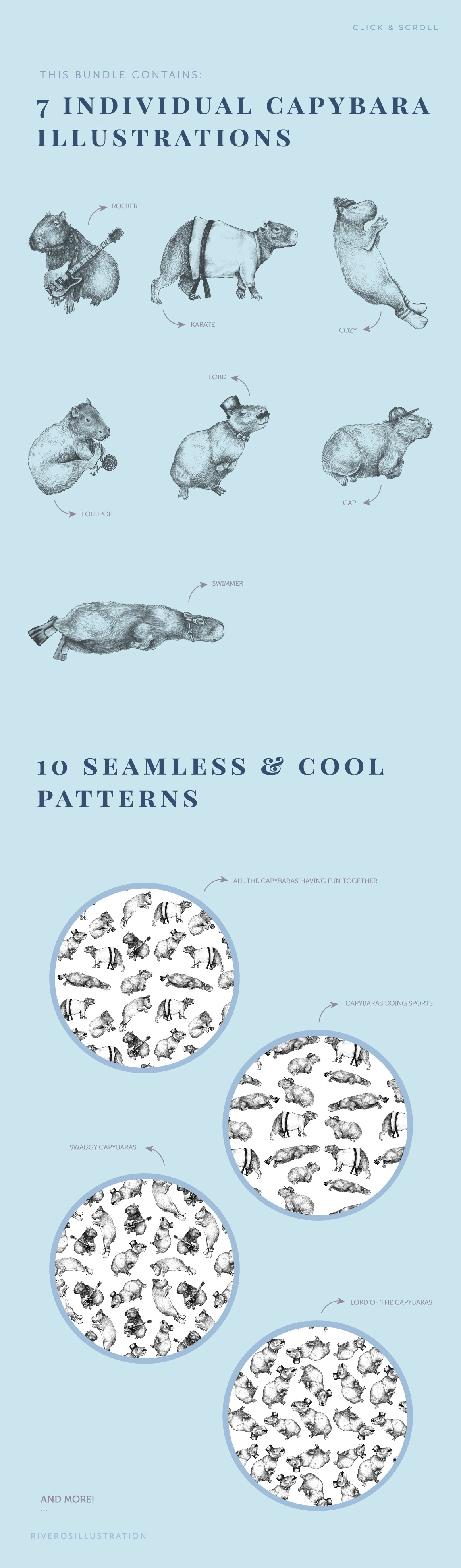 Capybaras - Illustrations & Patterns Capybaras - Illustrations & Patterns