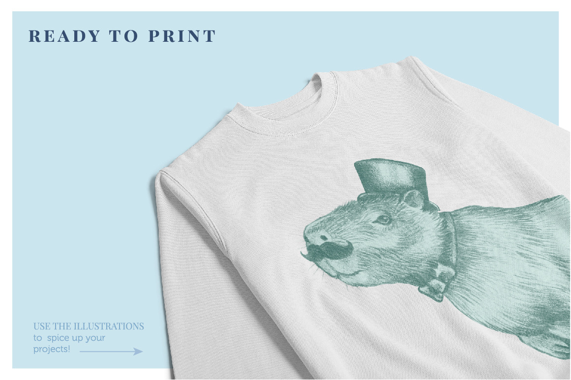 Capybaras - Illustrations & Patterns Capybaras - Illustrations & Patterns