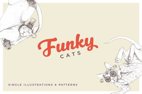 Funky Cat - Illustrations & Patterns - Kitty