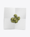 Paper Envelope with Marijuana Mockup