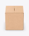 Kraft Box Mockup