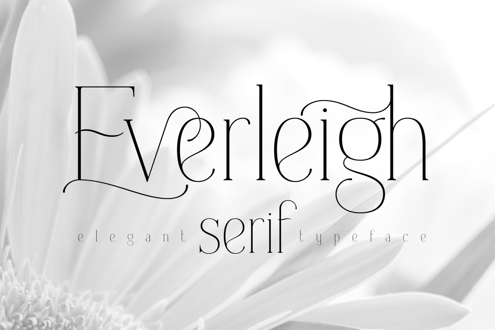 Everleigh Serif Font Everleigh Serif Font