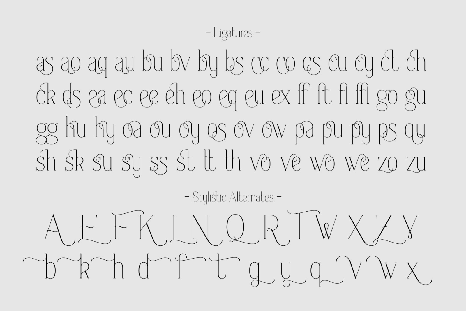 Everleigh Serif Font Everleigh Serif Font