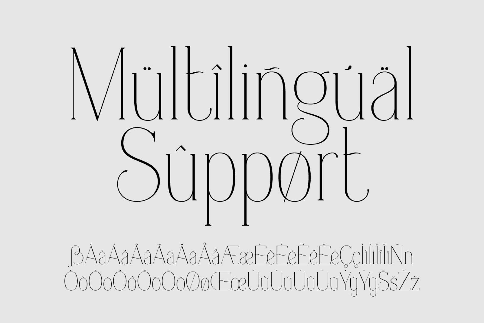 Everleigh Serif Font Everleigh Serif Font