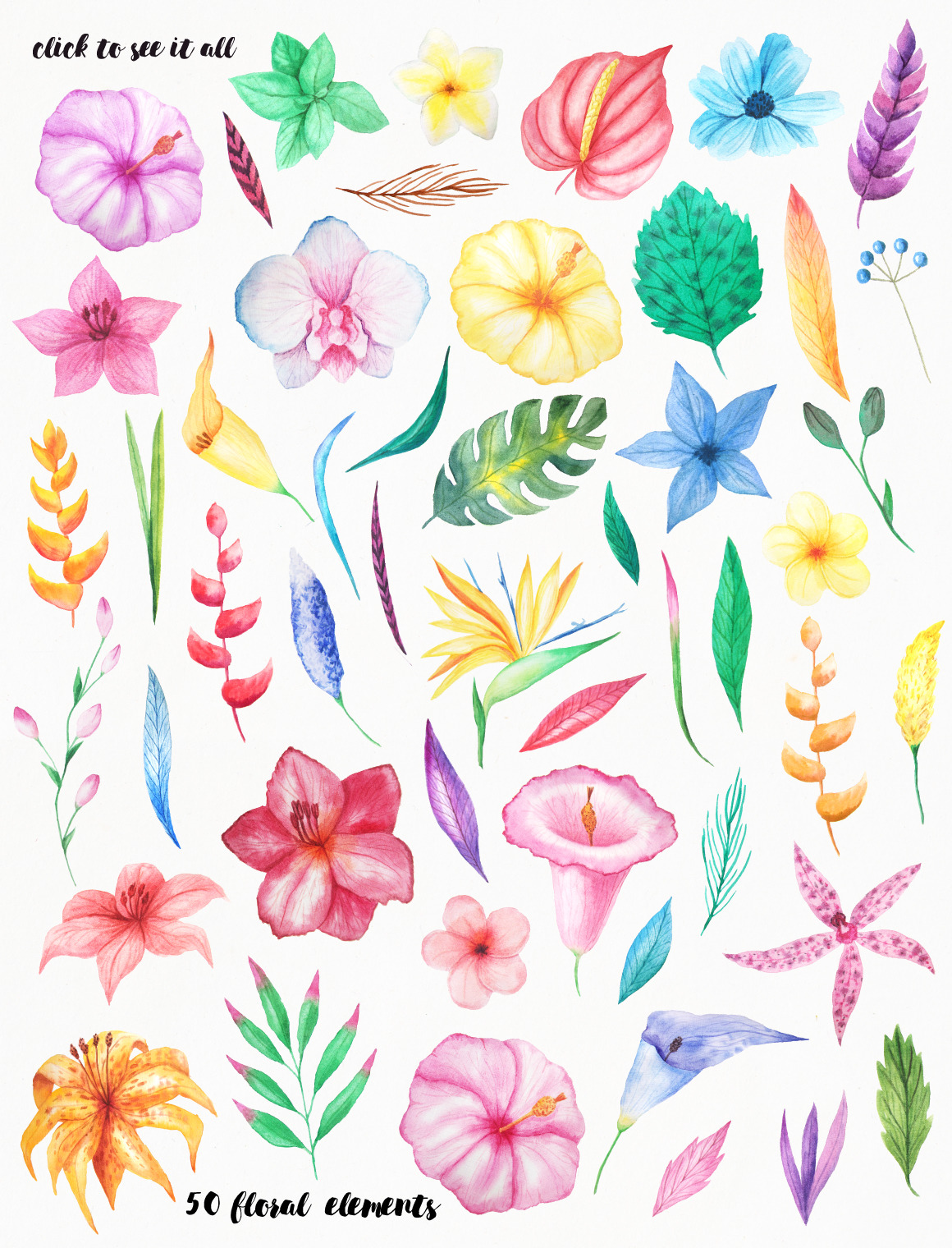 Watercolor Tropical Floral Pack