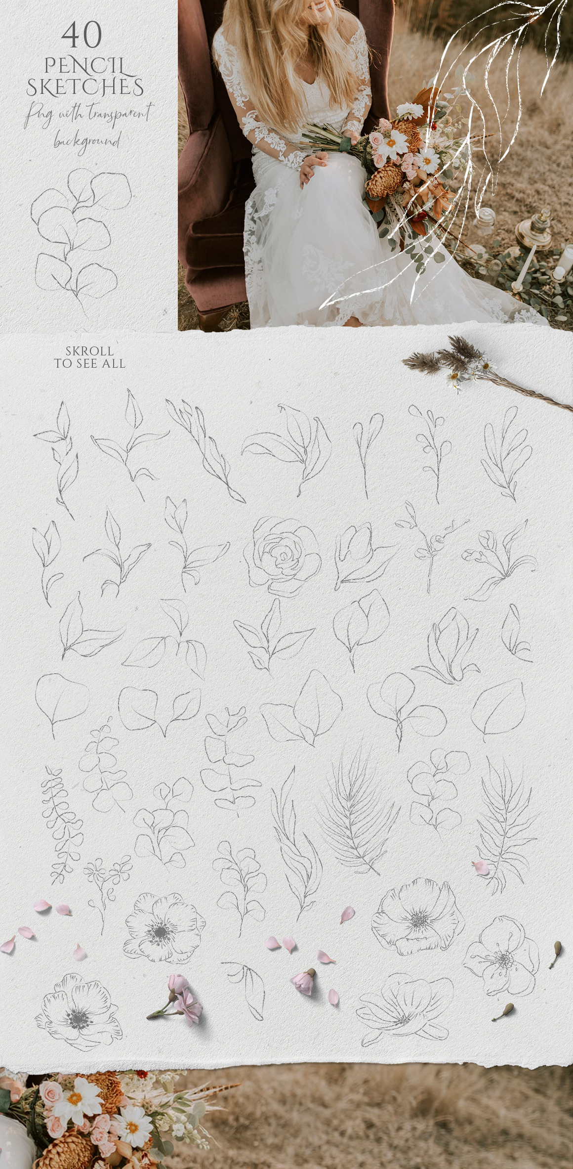 Floral Sketch Illustrations Collection Floral Sketch Illustrations Collection