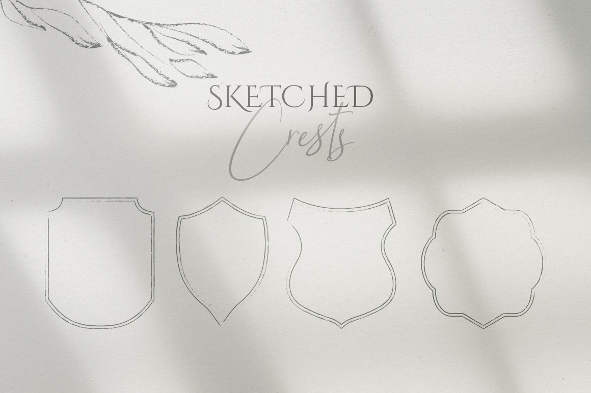 Floral Sketch Illustrations Collection Floral Sketch Illustrations Collection