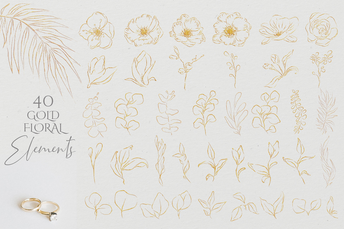 Floral Sketch Illustrations Collection Floral Sketch Illustrations Collection