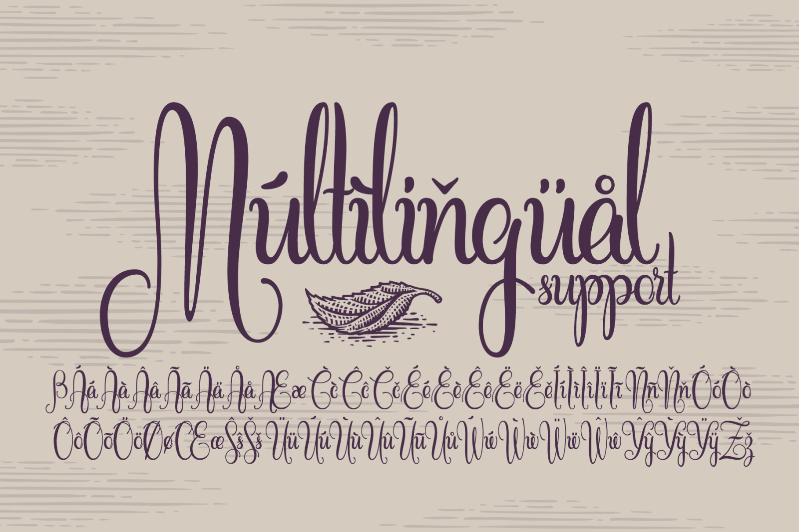Cidrella script & graphics Cidrella script & graphics