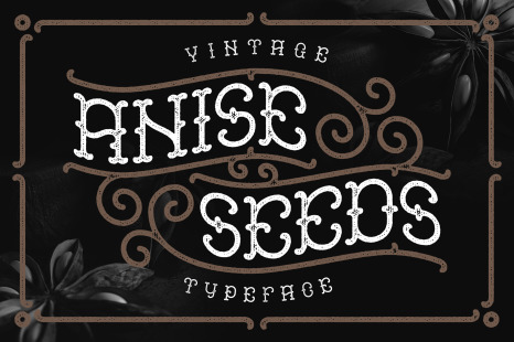 Anise Seeds typeface - Vector background