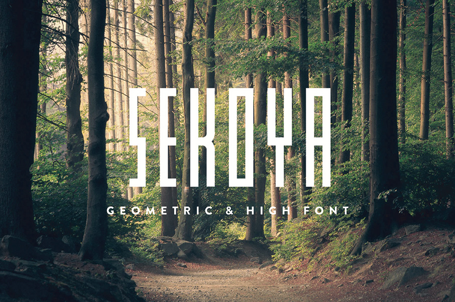 Fonts Bundle Vol.1 Fonts Bundle Vol.1