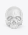 Skull Mockup