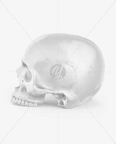 Skull Mockup
