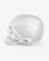 Skull Mockup