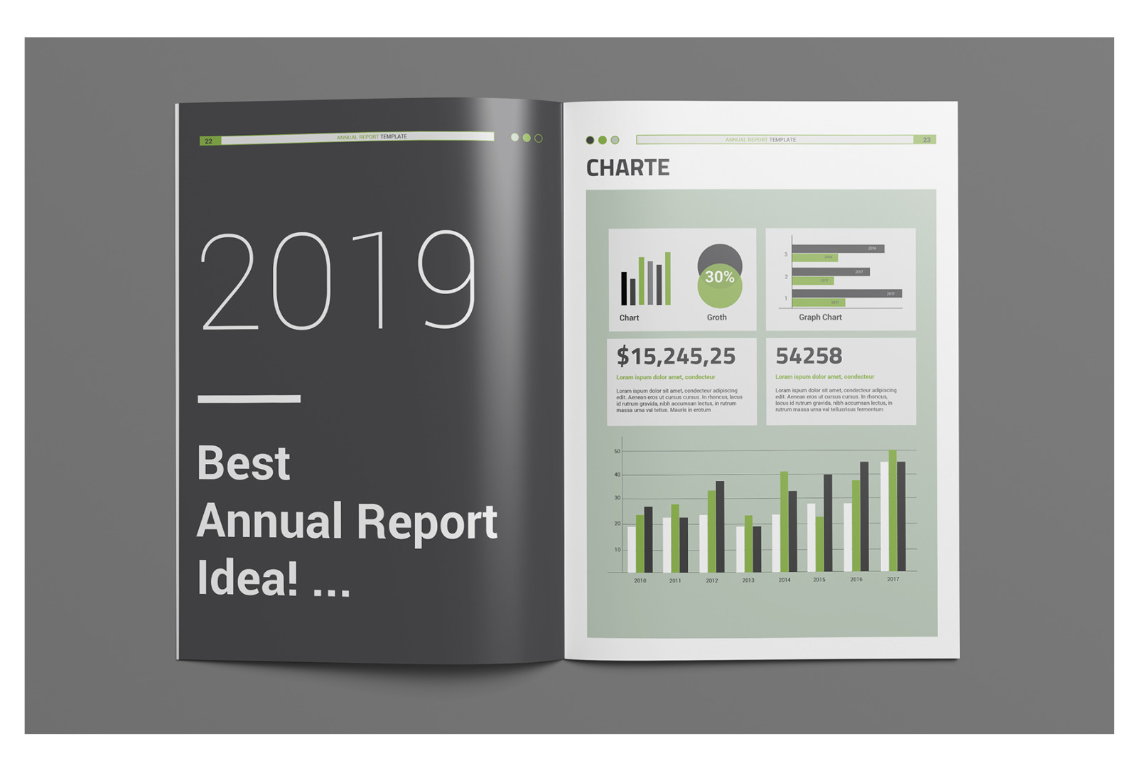 Info Annual Report