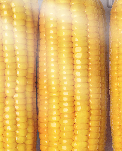 Plastic Tray With Corn Mockup