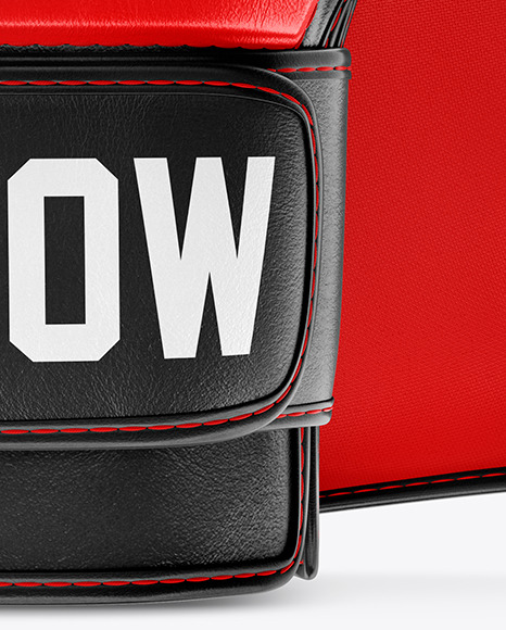 Two MMA Gloves Mockup