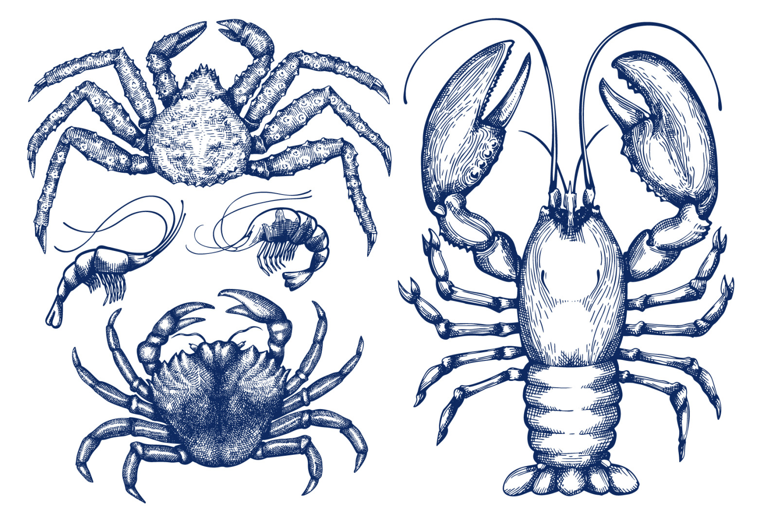 Seafood Vector Collection #2