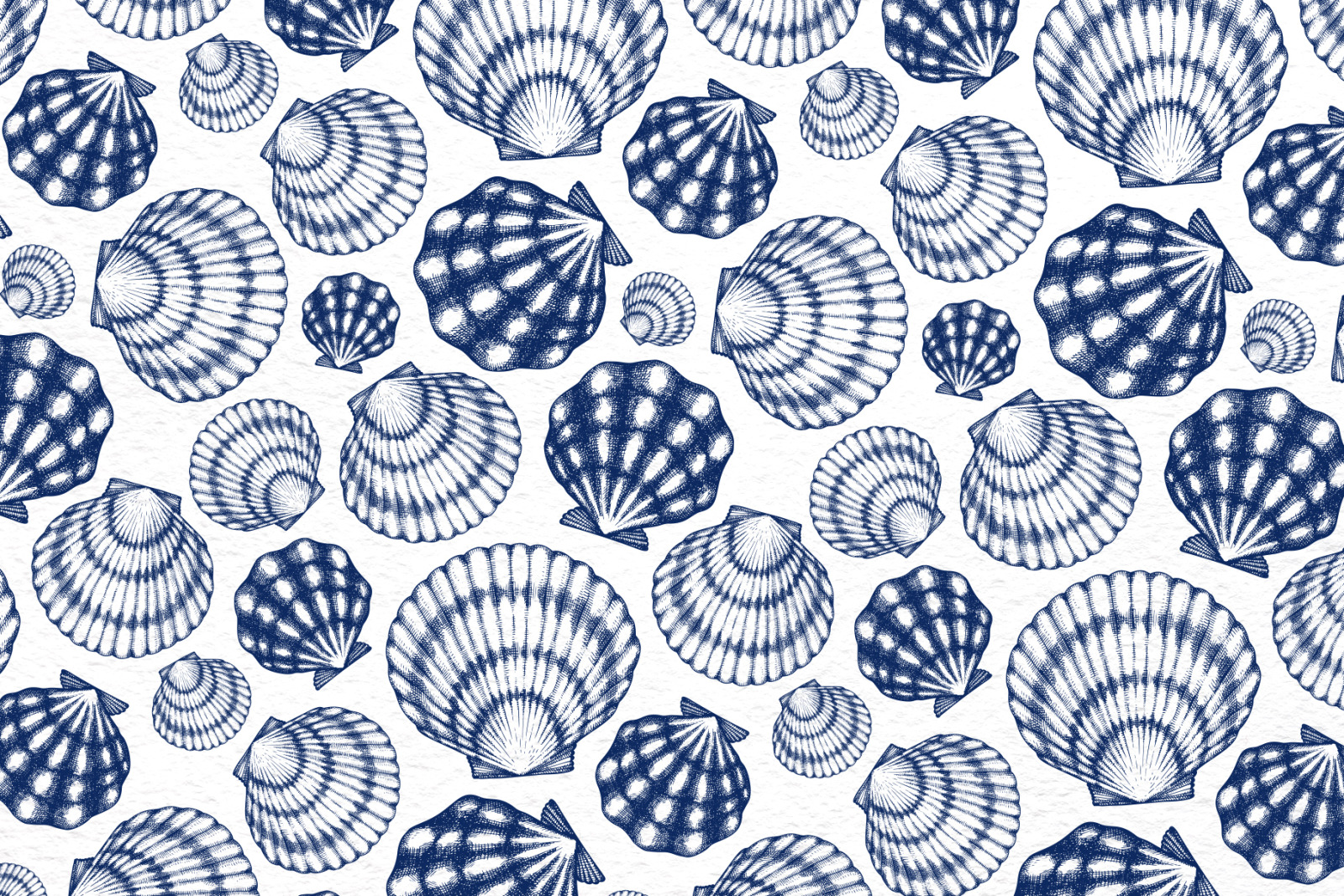 Seafood Vector Collection #2