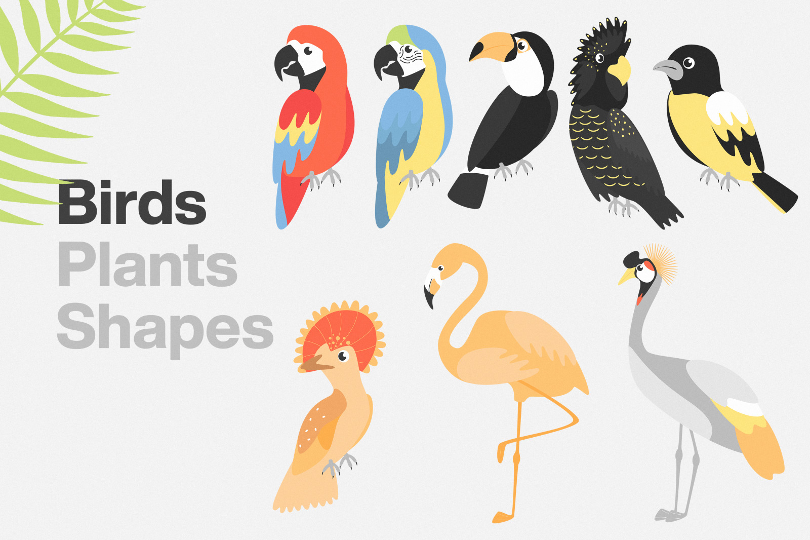 Exotic Pack Seamless Patterns Exotic Pack Seamless Patterns