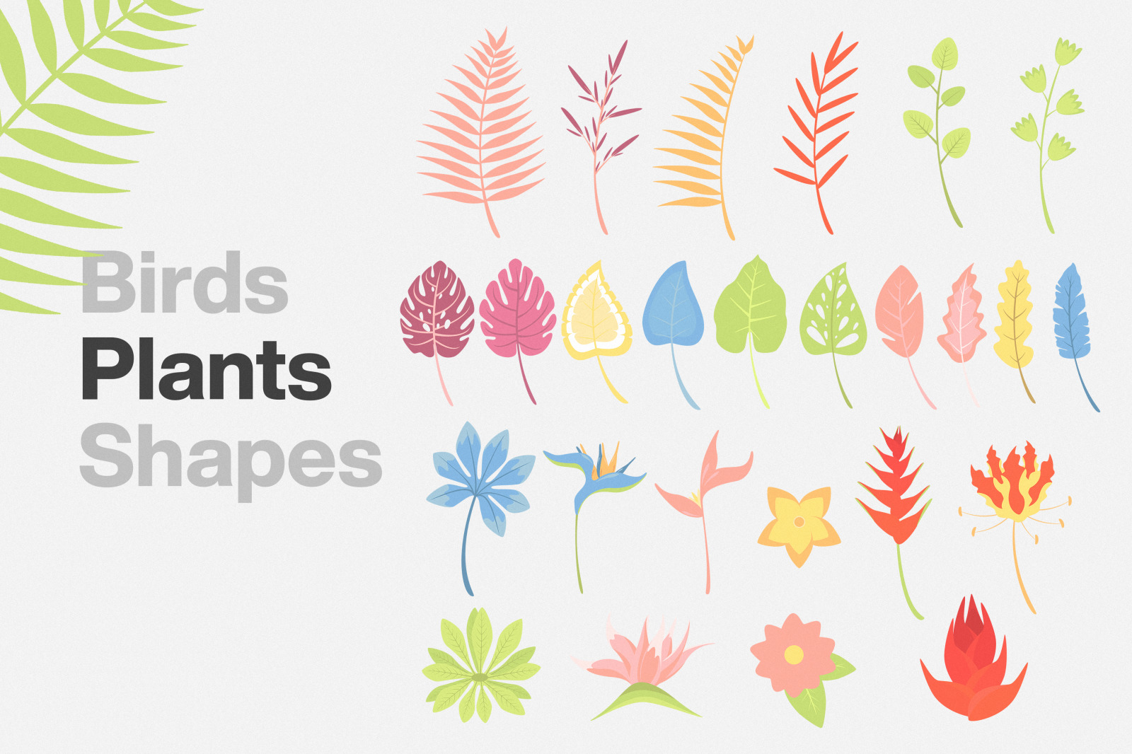Exotic Pack Seamless Patterns Exotic Pack Seamless Patterns
