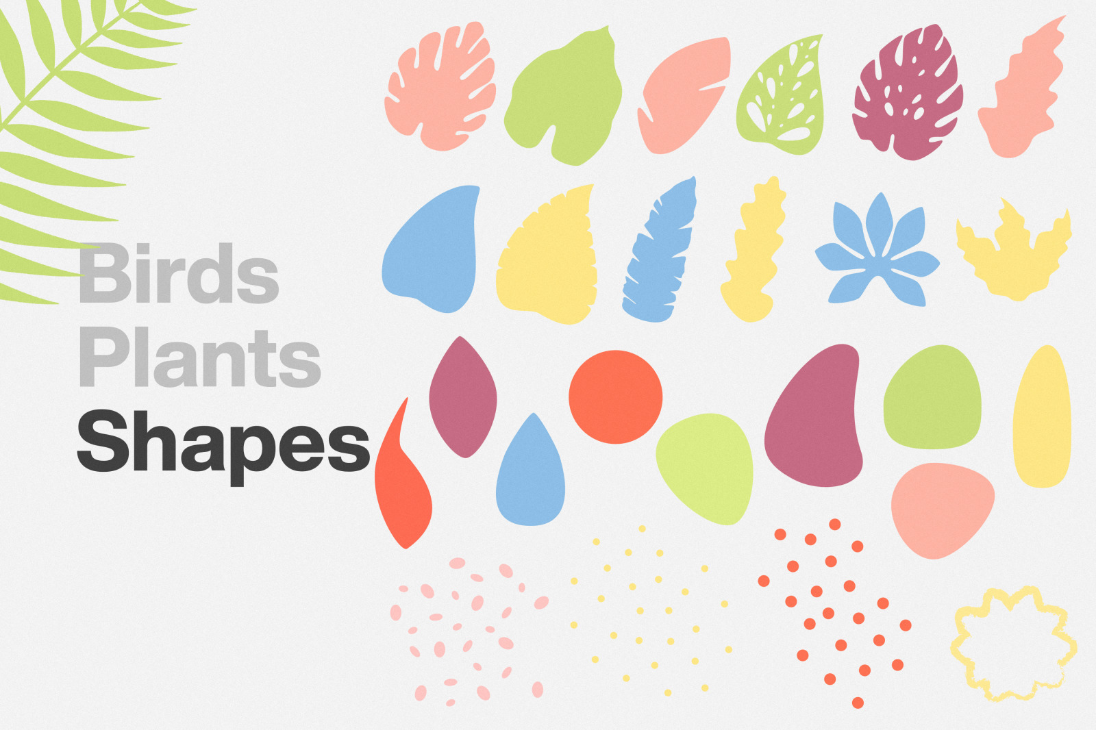 Exotic Pack Seamless Patterns Exotic Pack Seamless Patterns