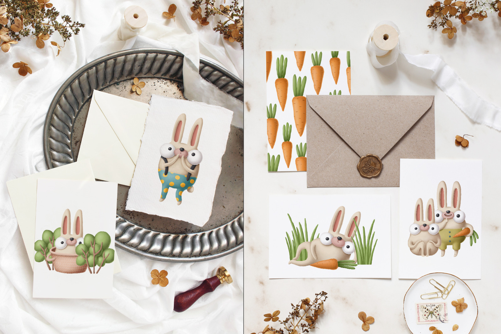 Funny bunnies Funny bunnies