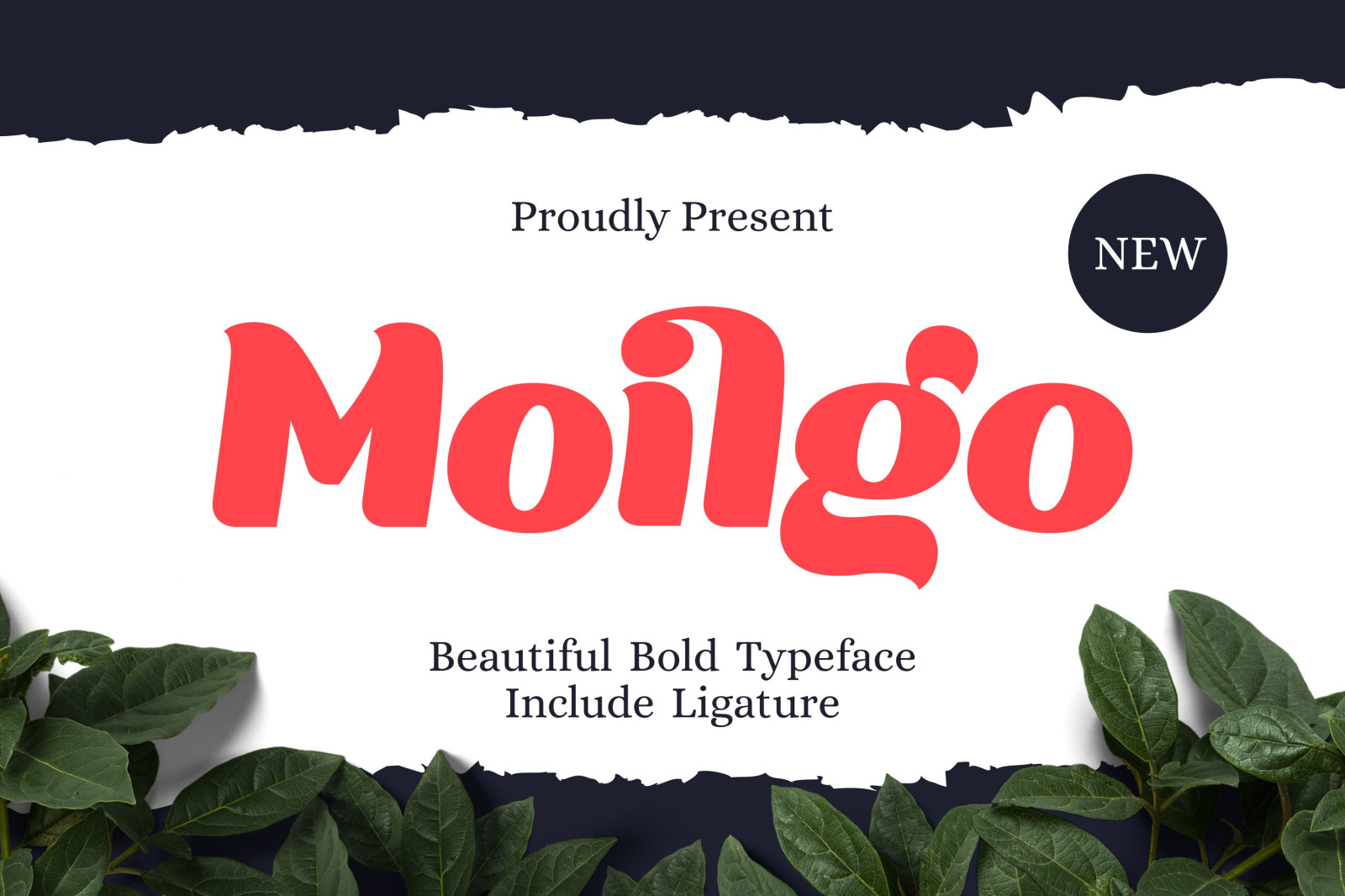 Moilgo Font Moilgo Font