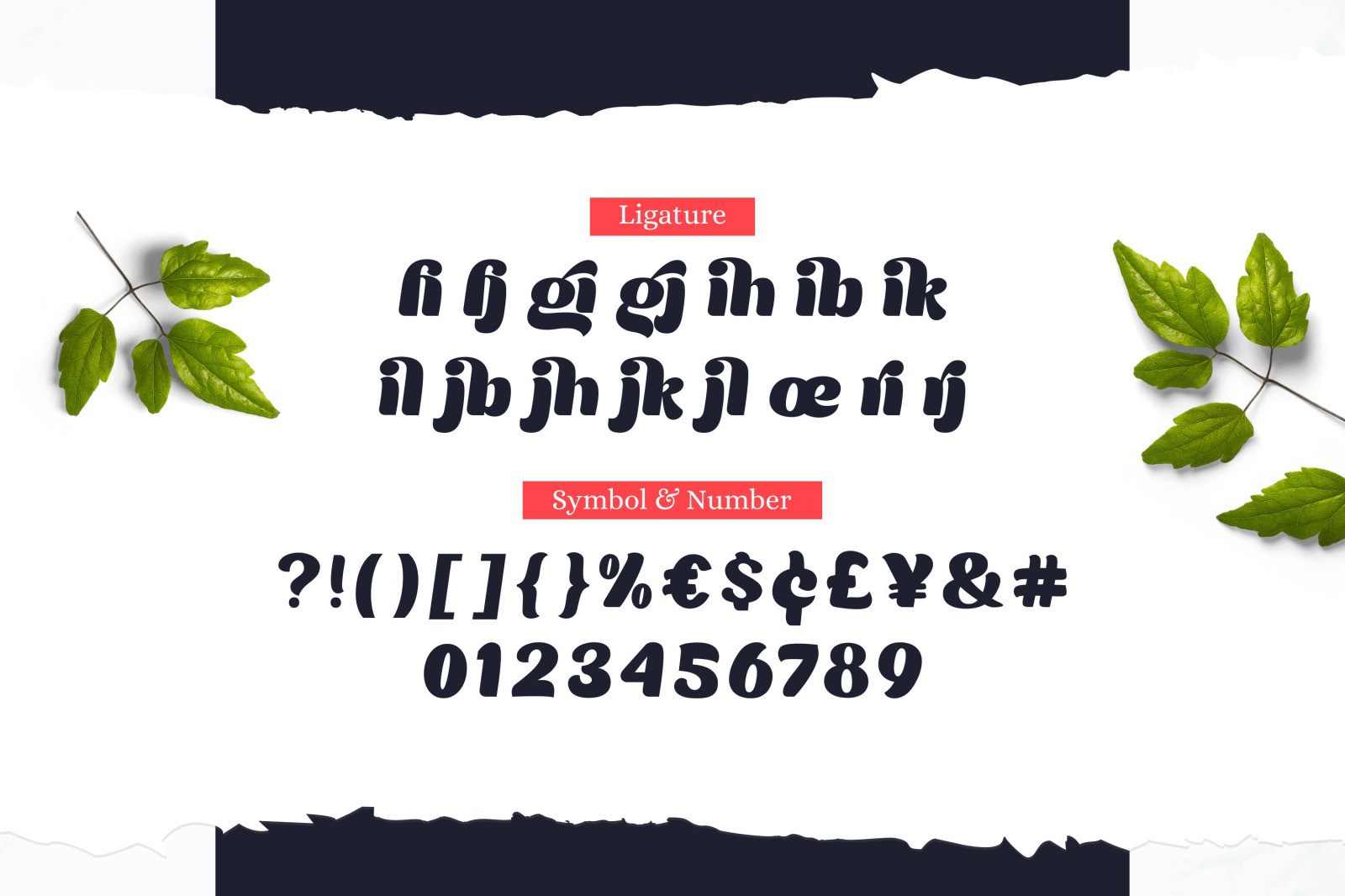 Moilgo Font Moilgo Font