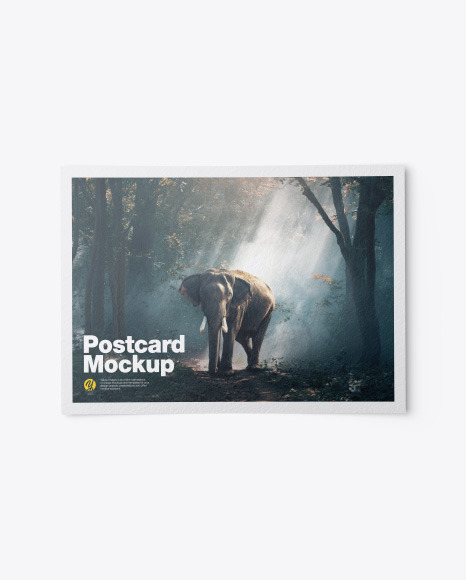 Textured A5 Postcard Mockup