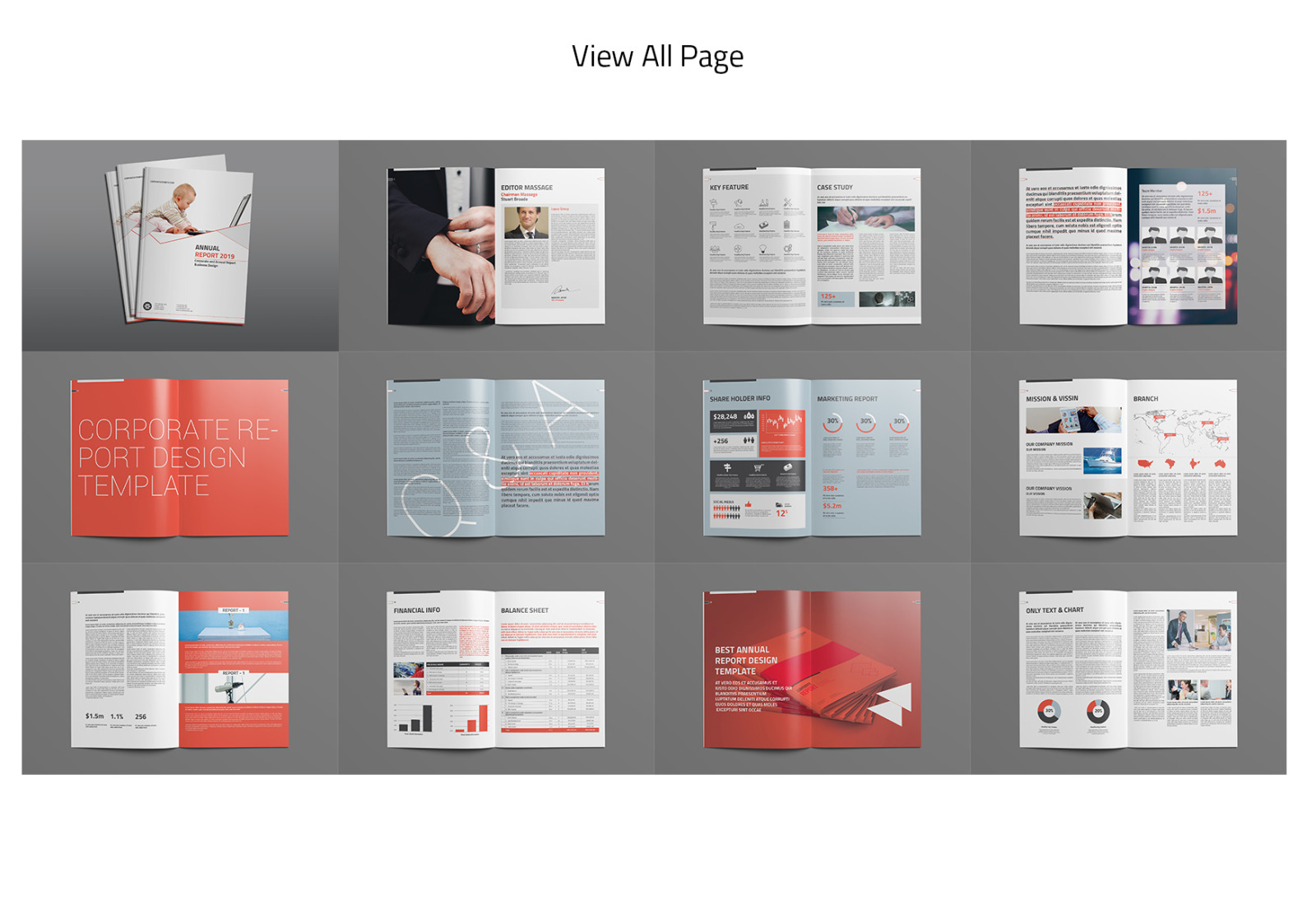 Annual Report 24 Pages