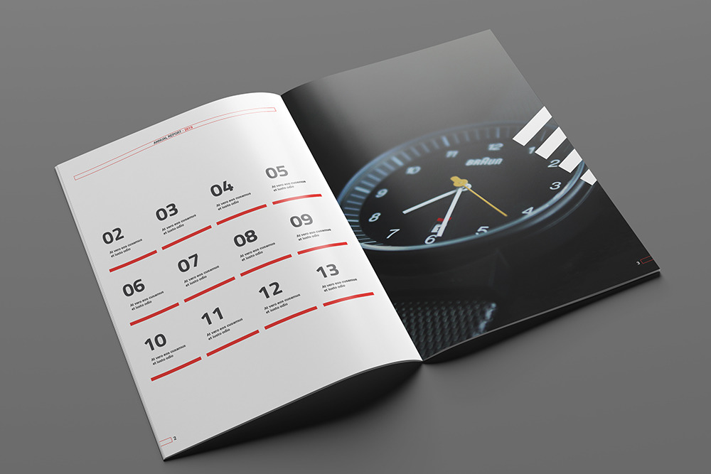 Annual Report Brochure Annual Report Brochure