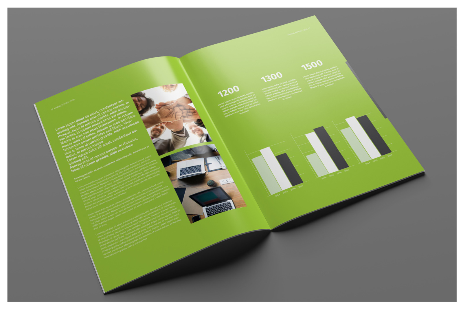 Business Annual Report Business Annual Report