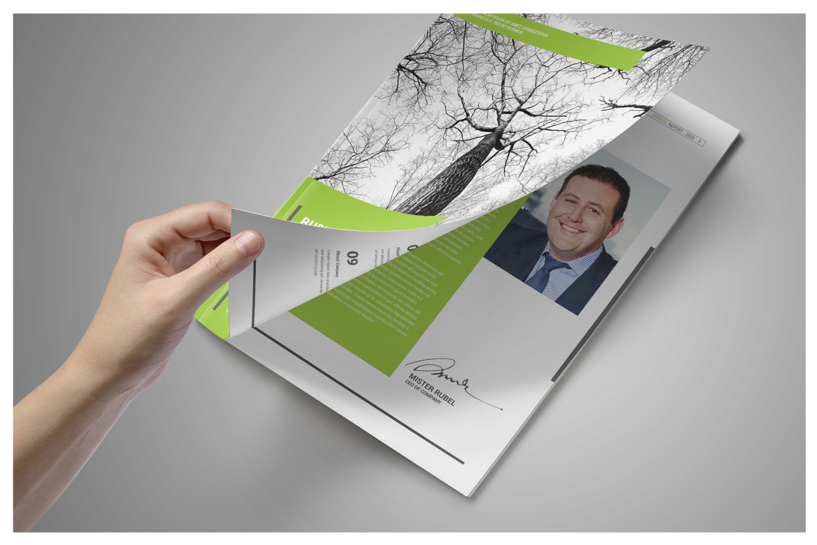 Business Annual Report Business Annual Report